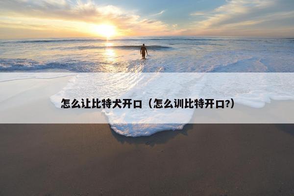 怎么让比特犬开口（怎么训比特开口?）