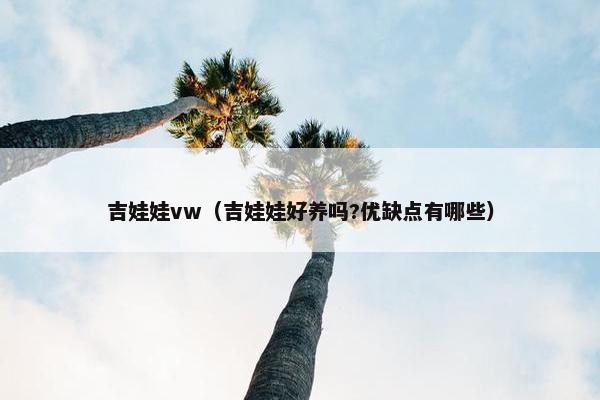 吉娃娃vw（吉娃娃好养吗?优缺点有哪些）