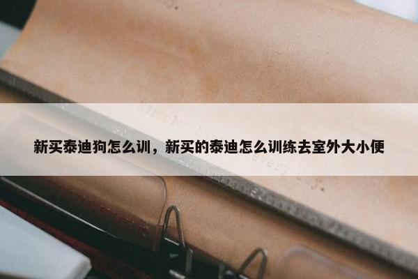 新买泰迪狗怎么训，新买的泰迪怎么训练去室外大小便