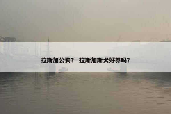 拉斯加公狗？ 拉斯加斯犬好养吗？
