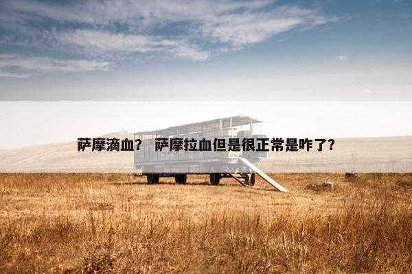 萨摩 第9页