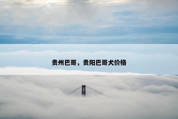 贵州巴哥，贵阳巴哥犬价格