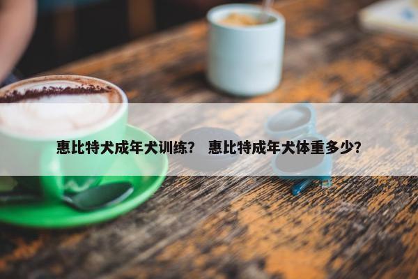 惠比特犬成年犬训练？ 惠比特成年犬体重多少？