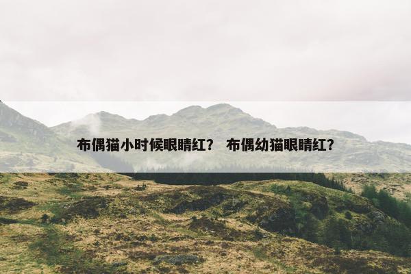 布偶猫小时候眼睛红？ 布偶幼猫眼睛红？