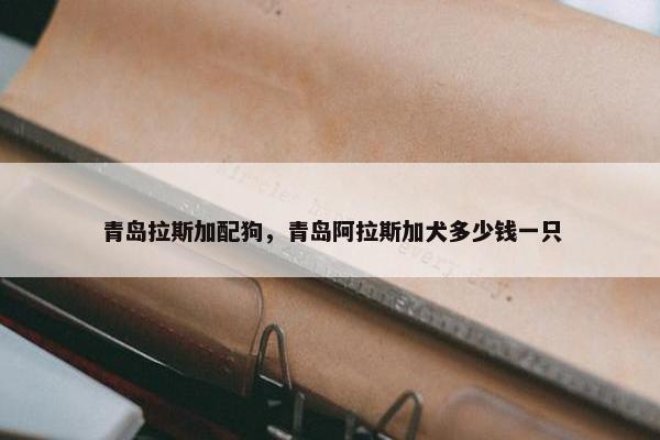 青岛拉斯加配狗，青岛阿拉斯加犬多少钱一只
