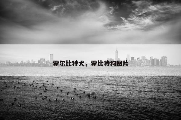 霍尔比特犬，霍比特狗图片