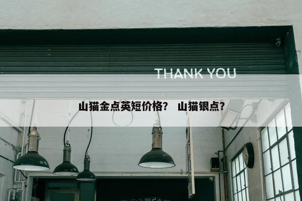 山猫金点英短价格? 山猫银点?