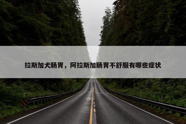 拉斯加犬肠胃，阿拉斯加肠胃不舒服有哪些症状