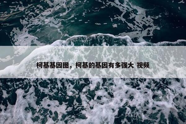 柯基基因图，柯基的基因有多强大 视频