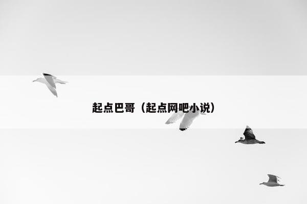 起点巴哥（起点网吧小说）