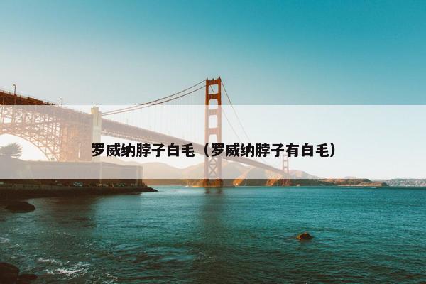 罗威纳脖子白毛（罗威纳脖子有白毛）
