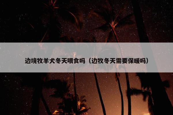 边境牧羊犬冬天喂食吗（边牧冬天需要保暖吗）