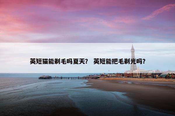 英短猫能剃毛吗夏天？ 英短能把毛剃光吗？