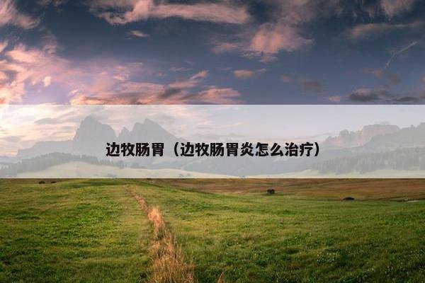 边牧肠胃（边牧肠胃炎怎么治疗）