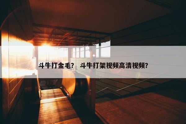 斗牛打金毛？ 斗牛打架视频高清视频？