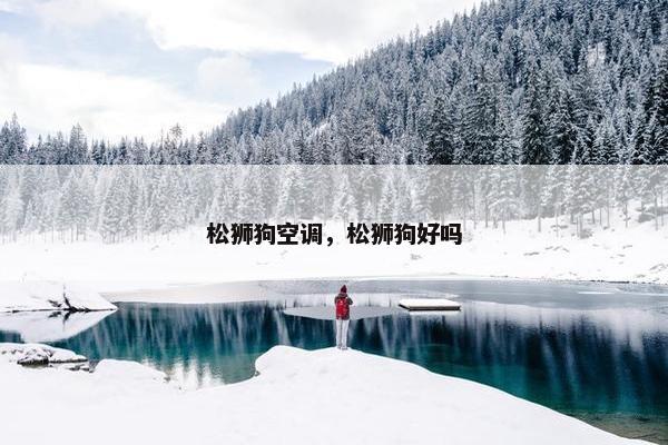松狮狗空调，松狮狗好吗