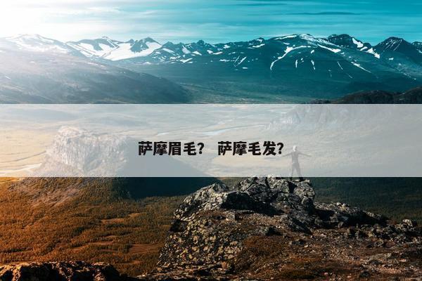 萨摩眉毛？ 萨摩毛发？