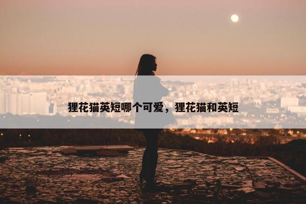 狸花猫英短哪个可爱，狸花猫和英短