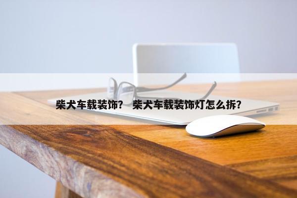主要