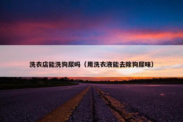 洗衣店能洗狗尿吗（用洗衣液能去除狗尿味）