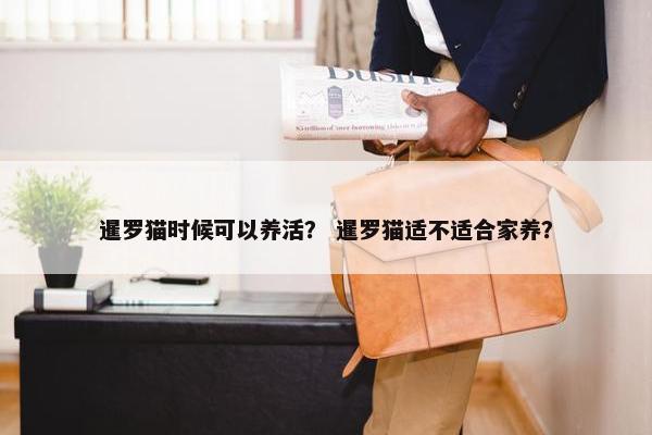 暹罗猫时候可以养活? 暹罗猫适不适合家养?