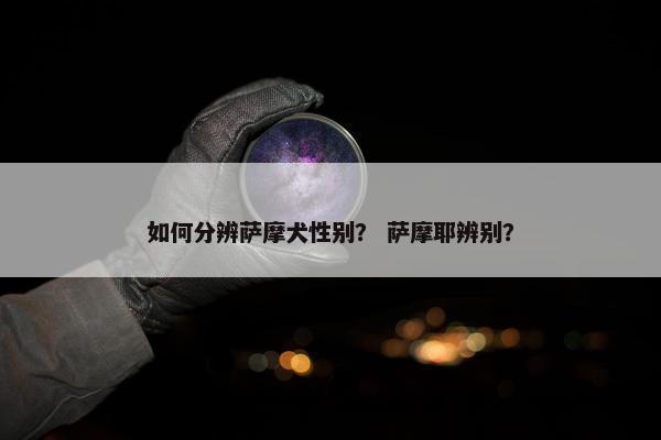 如何分辨萨摩犬性别？ 萨摩耶辨别？