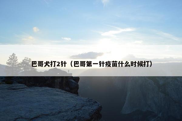 巴哥犬打2针（巴哥第一针疫苗什么时候打）