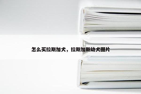 怎么买拉斯加犬,拉斯加斯幼犬图片