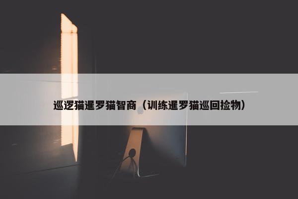 巡逻猫暹罗猫智商(训练暹罗猫巡回捡物)