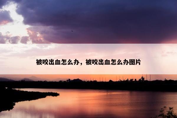 被咬出血怎么办，被咬出血怎么办图片