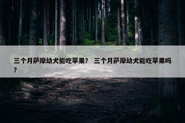 三个月萨摩幼犬能吃苹果？ 三个月萨摩幼犬能吃苹果吗？