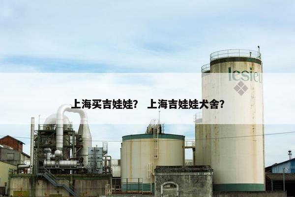 上海买吉娃娃？ 上海吉娃娃犬舍？