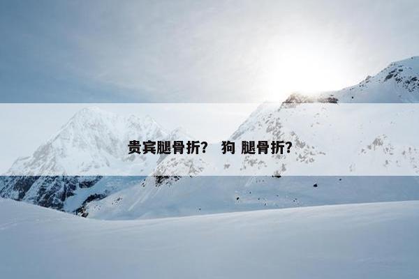 贵宾腿骨折？ 狗 腿骨折？