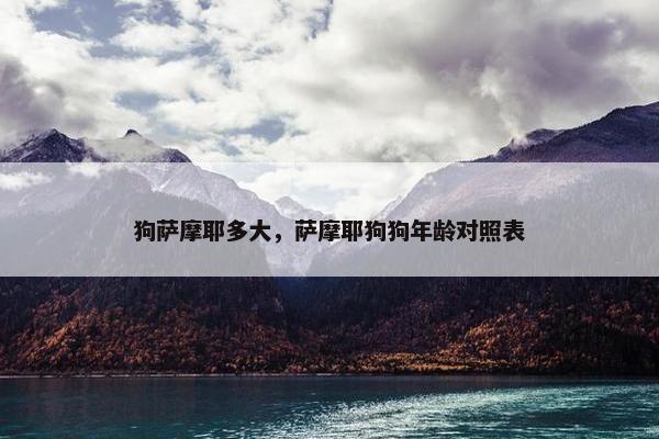 狗萨摩耶多大,萨摩耶狗狗年龄对照表