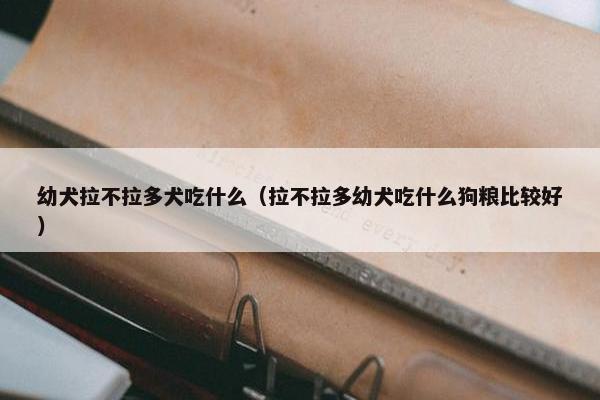 幼犬拉不拉多犬吃什么(拉不拉多幼犬吃什么狗粮比较好)