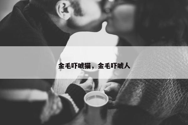 金毛吓唬猫，金毛吓唬人