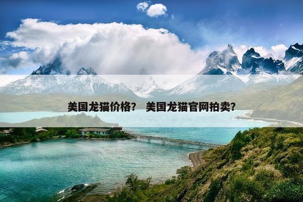 美国龙猫价格？ 美国龙猫官网拍卖？