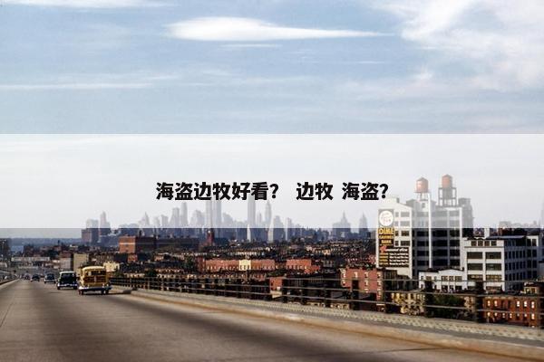 海盗边牧好看？ 边牧 海盗？