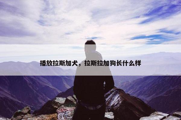 播放拉斯加犬，拉斯拉加狗长什么样