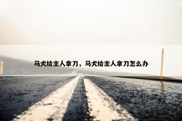 马犬给主人拿刀，马犬给主人拿刀怎么办