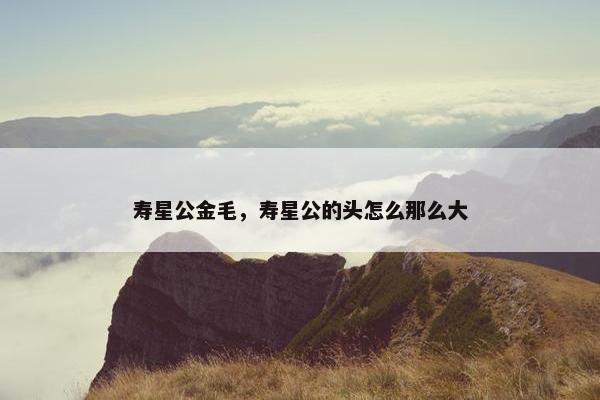 寿星公金毛，寿星公的头怎么那么大