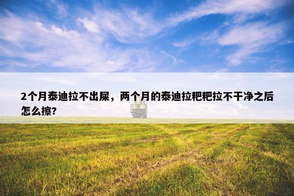 2个月泰迪拉不出屎，两个月的泰迪拉粑粑拉不干净之后怎么擦?