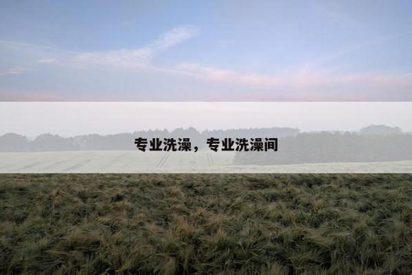 专业洗澡，专业洗澡间