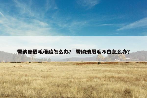 雪纳瑞眉毛稀疏怎么办？ 雪纳瑞眉毛不白怎么办？