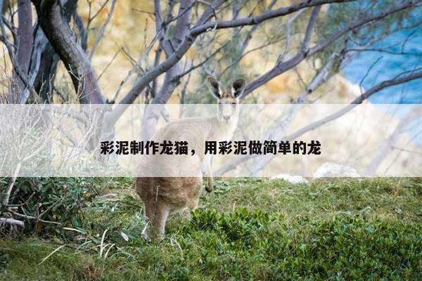 彩泥制作龙猫，用彩泥做简单的龙