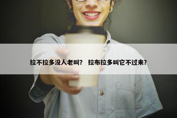 拉不拉多没人老叫? 拉布拉多叫它不过来?