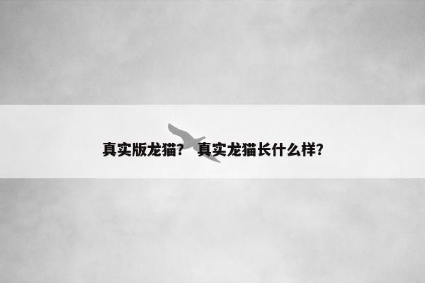 真实版龙猫？ 真实龙猫长什么样？