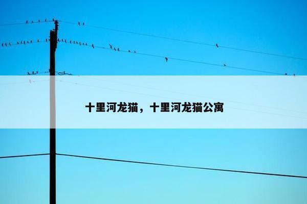 十里河龙猫，十里河龙猫公寓