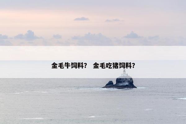 饲料