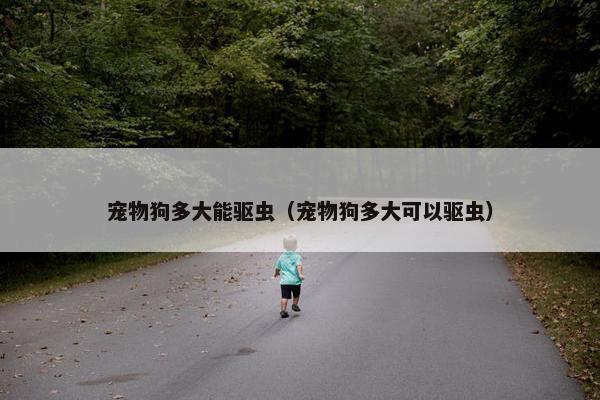 宠物狗多大能驱虫（宠物狗多大可以驱虫）